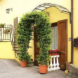 Ulivo Rosso Sesto Fiorentino